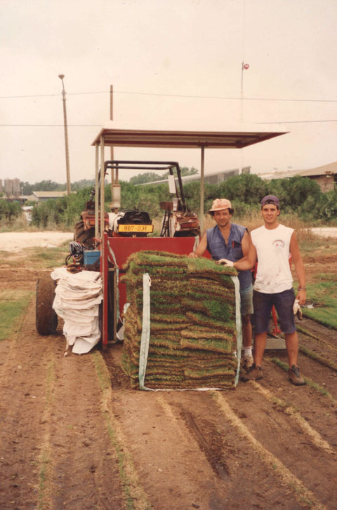 1993 Estágio em produção de grama esmeralda